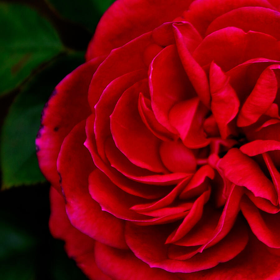 What a wonderful world